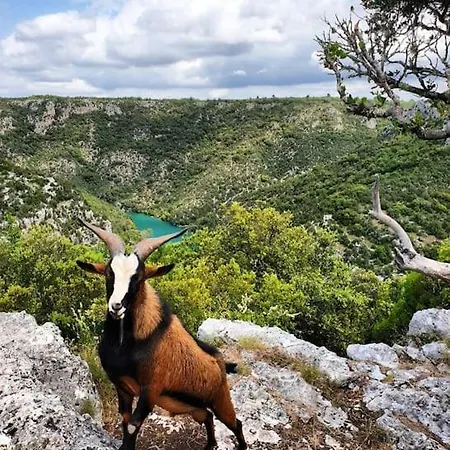 Elegant & Moderne - Entre Lavande Et Gorges Du Verdon *